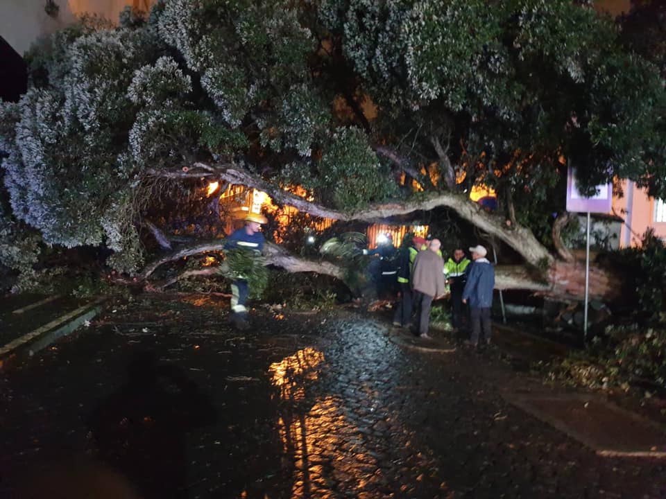 Prote O Civil Dos A Ores Registou Ocorr Ncias Nas Ltimas Horas